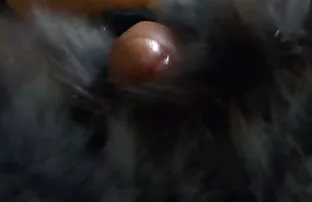 porno Extraño lesbianas borrachas follando toma en arms y doggystyles grasa chica
