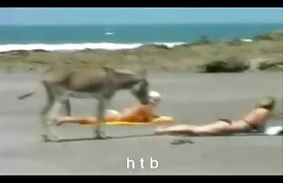 porno Chica rubia follando en una mesa xxxborrachas dormidas de billar